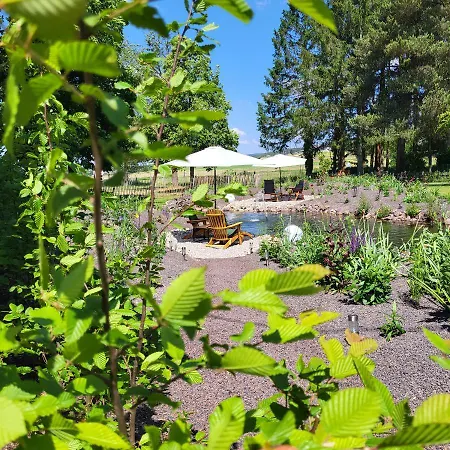 Komfort Ferienwohnungen Mit Wellness-Garten - Gaestehaus Am Bachlauf - Losheim Am See Buitenkant foto