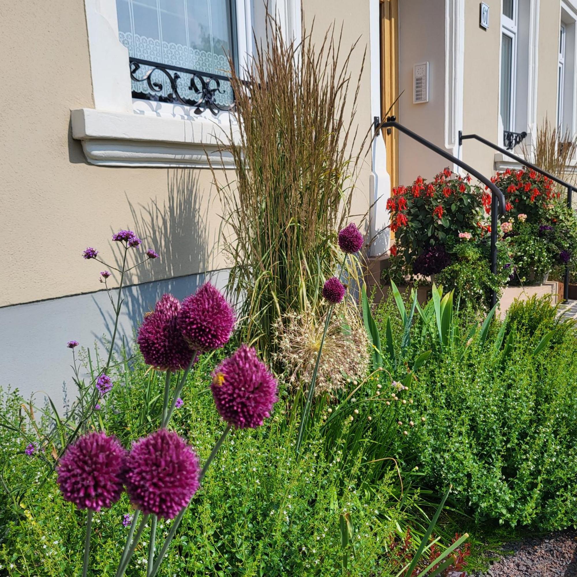 Komfort Mit Wellness-garten - Gaestehaus Am Bachlauf - Am