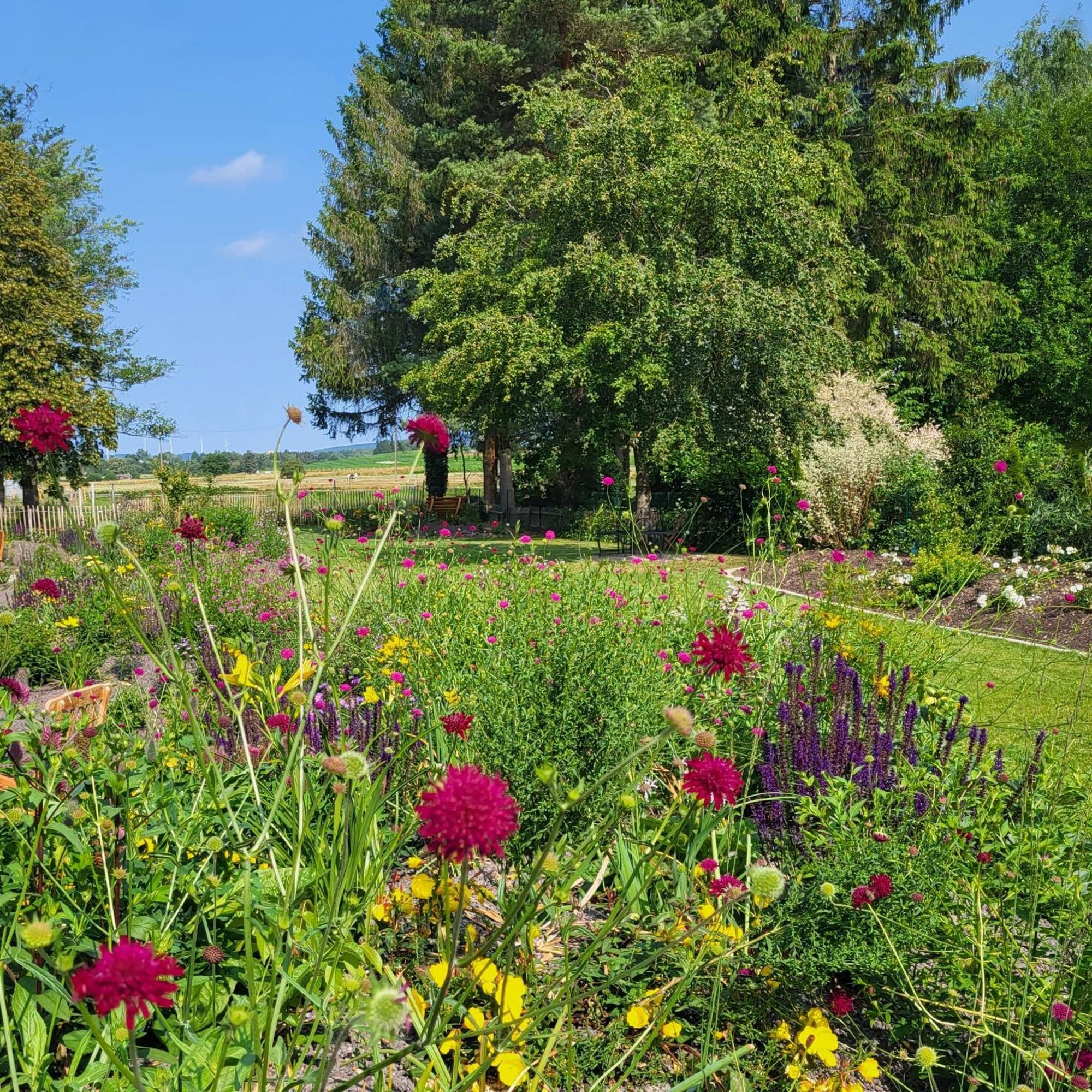 Komfort Mit Wellness-garten - Gaestehaus Am Bachlauf - Am Losheim