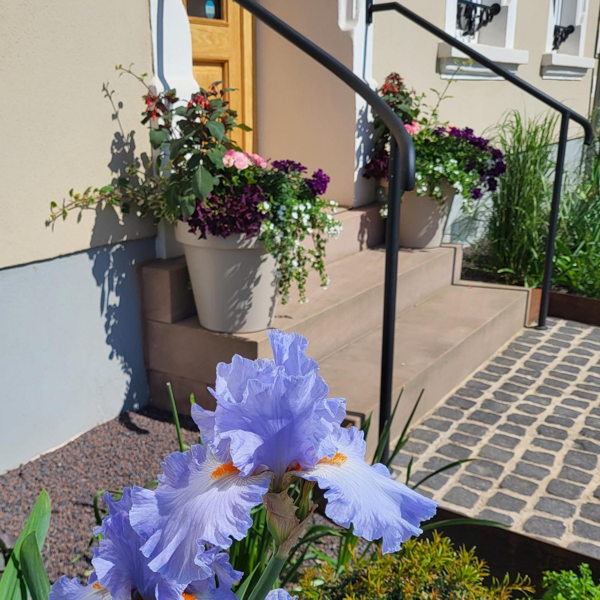 Apartment Komfort Mit Wellness-garten - Gaestehaus Am Bachlauf - Am
